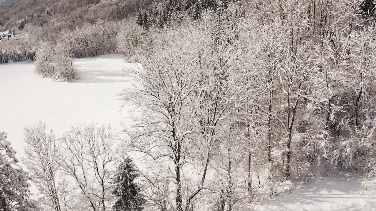 추운 겨울 동안 눈으로 뒤덮인 시르크 뒤 페르 아 슈발(cirque du fer à cheval)의 조감도, 파랑새의 날 햇살 아래 최근에 눈이 내린 숲을 돌고 있습니다.