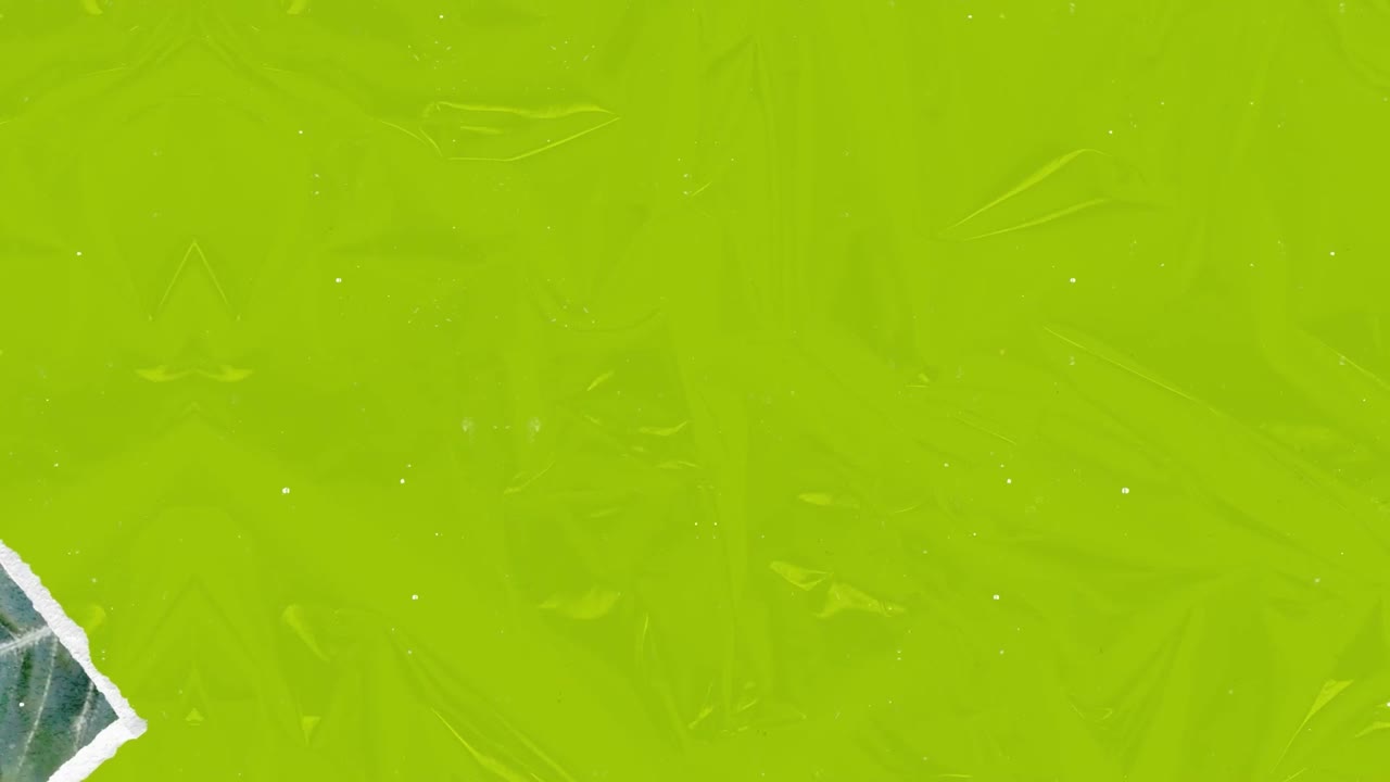 Koláž rozmanitých obrázků
