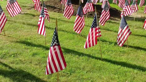 set of american flags on the field with green grass fluttering on the wind