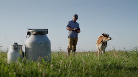 Farmers-uses-a-tablet-in-pasture-where-a-cow-grazes-1