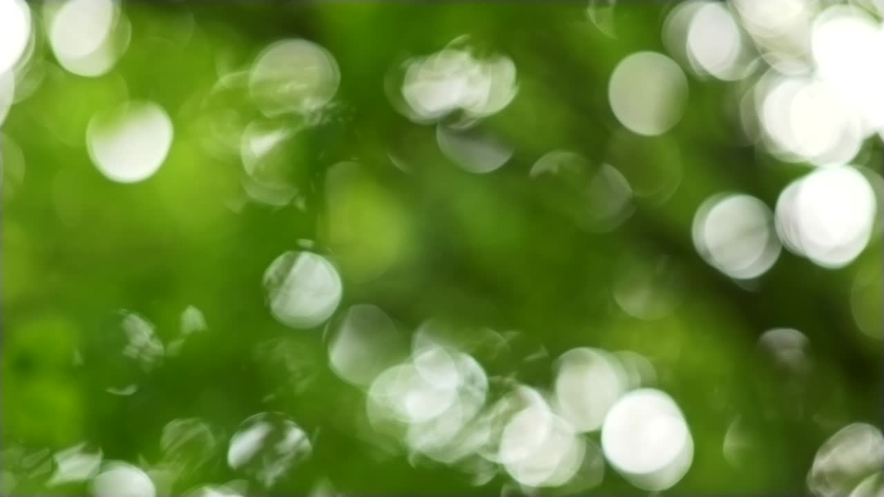 fondo bokeh verde borroso con círculos blancos. sombra de follaje verde de árboles y flora. toma abstracta, uhd