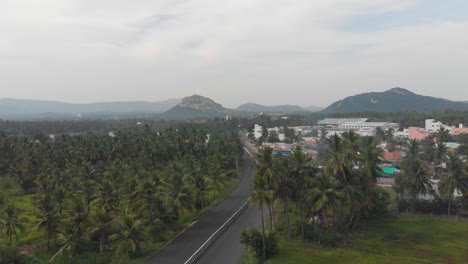 Reveling-shot-of-highway-in-the-middle-of-coconut-trees-field-surrounded-by-small-buildings-and-buildings