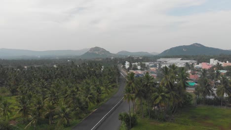 reveling shot of highway in the middle of coconut trees field surrounded by small buildings and buildings