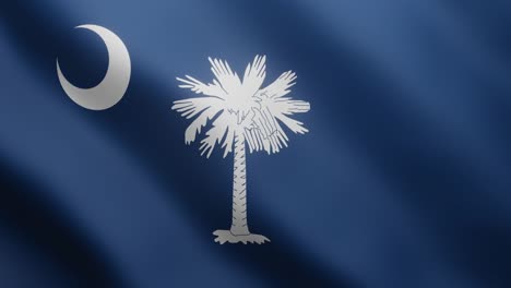 the national flag of south carolina in 3d is waving and flapping in the breeze in the background. a 4k animated video clip that loops in a realistic manner.