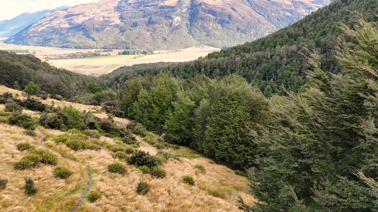 Drone pans above lush valley, native forest, and distant mountains in soft daylight