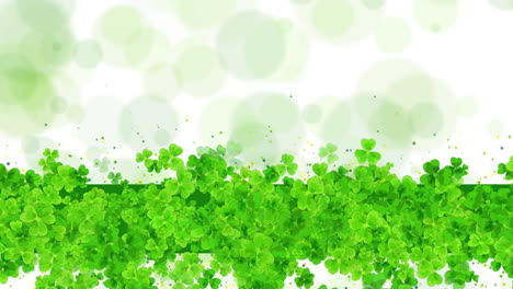 st. patrick's day horizontal loop background with shamrock leaves. copy space. green ribbon with animated leaves.
