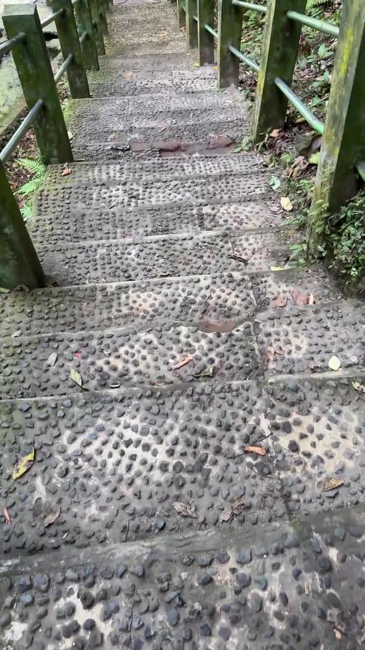 Walking Down Stone Pebble Stairs in a Lush Forest