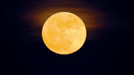 Orange-hazey-glow-above-yellow-perfect-full-blue-supermoon-moon-in-black-sky,-rising-time-lapse