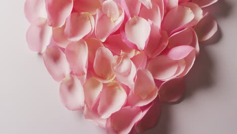 overhead video of a heart shape of pink rose petals on white background