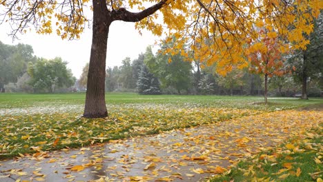 Snowfall-in-October-in-Boulder,-CO,-USA