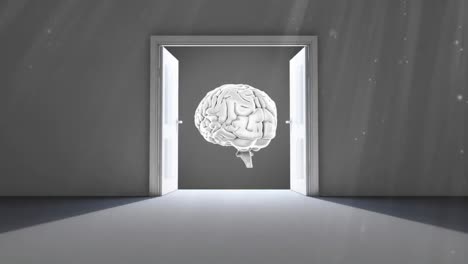 Opening-doors-to-the-brain