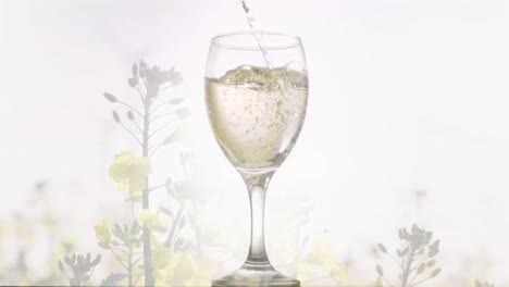 Animation-of-white-wine-pouring-into-glass-on-background-with-plants