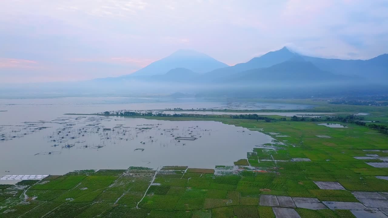 Drone shot of many fish cages on the lakeside with green rice field and ...
