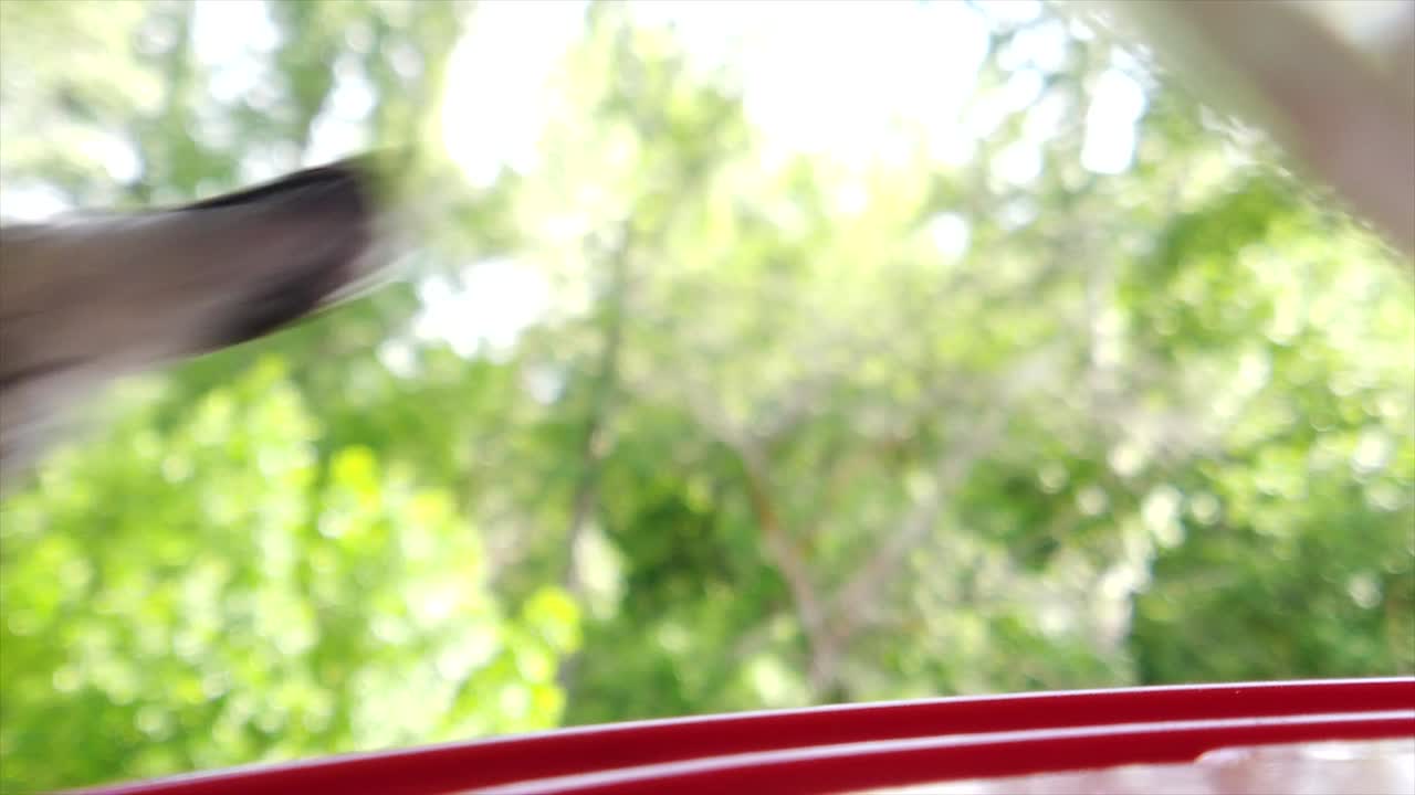 갈색 깃털을 가진 작고 뚱뚱한 윙윙거리는 새가 슬로우 모션으로 이륙하는 새 모이통에 앉아 있는 최고의 클로즈업