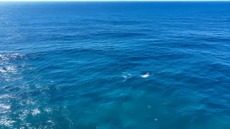 vast blue ocean waters