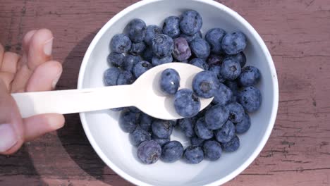 blueberries in a white bowl with a wooden spoon