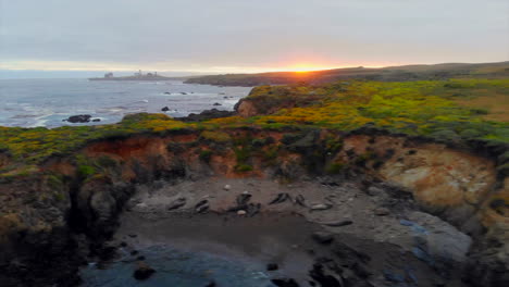 Elephant-seals-nesting-in-cove-on-Central-California-Coast,-drone-dollies-left-over-seals-then-flies-over-cliffs-to-crashing-waves,-ocean,-sunset,-and-Piedras-Blancas-Lighthouse-4k-Pro-Res-422HQ