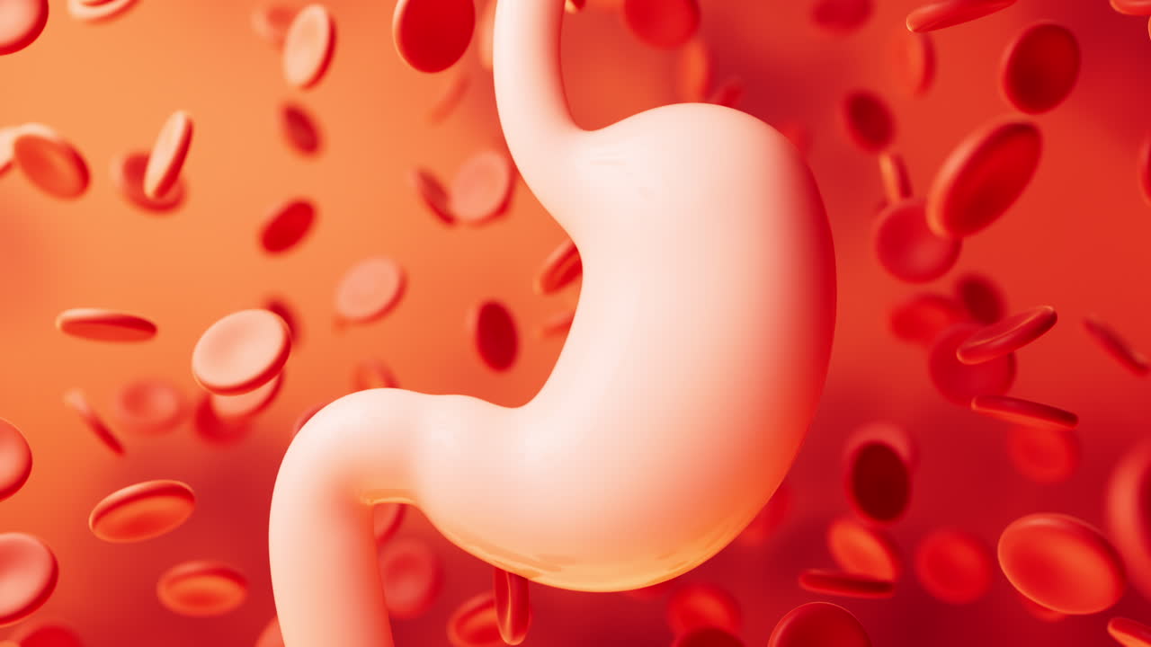 Human stomach and blood background, 3d rendering.