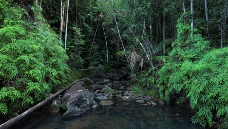 Rocky-Pond-In-The-Middle-Of-The-Forest-In-Guadeloupe,-France---Drone-Forward