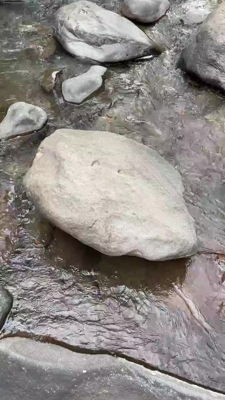 Acqua limpida che scorre sulle rocce in un ruscello di montagna