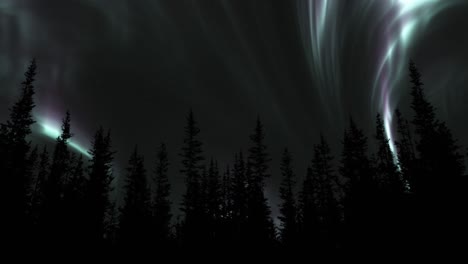 Northern-Lights-In-Wave-Pattern-Over-Trees---low-angle