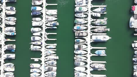 aerial view of large marina