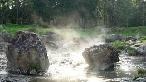 4k static shot of natural hot springs flow along the rocks under sunlight reflection with sun flares, the steam floating up with tree and grass background. lampang, thailand.