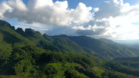 aerial view of mountain and forest.