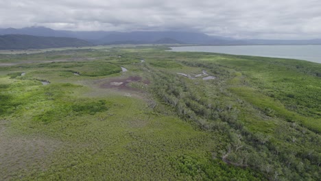 vast rainforest landscape on the coral sea coast of north queensland in australia