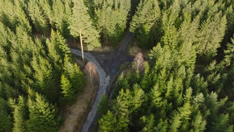 4k aerial flyover secluded woodland road intersection surrounded by tall fir pine tree forest