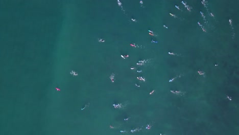 Fifty surfers paddling different directions to avoid the impact of the wave