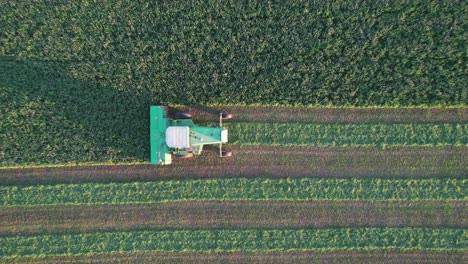 In-Door-County,-WI,-a-farmer-on-a-John-Deere-tractor,-cuts-his-alfalfa-field-in-late-August-6