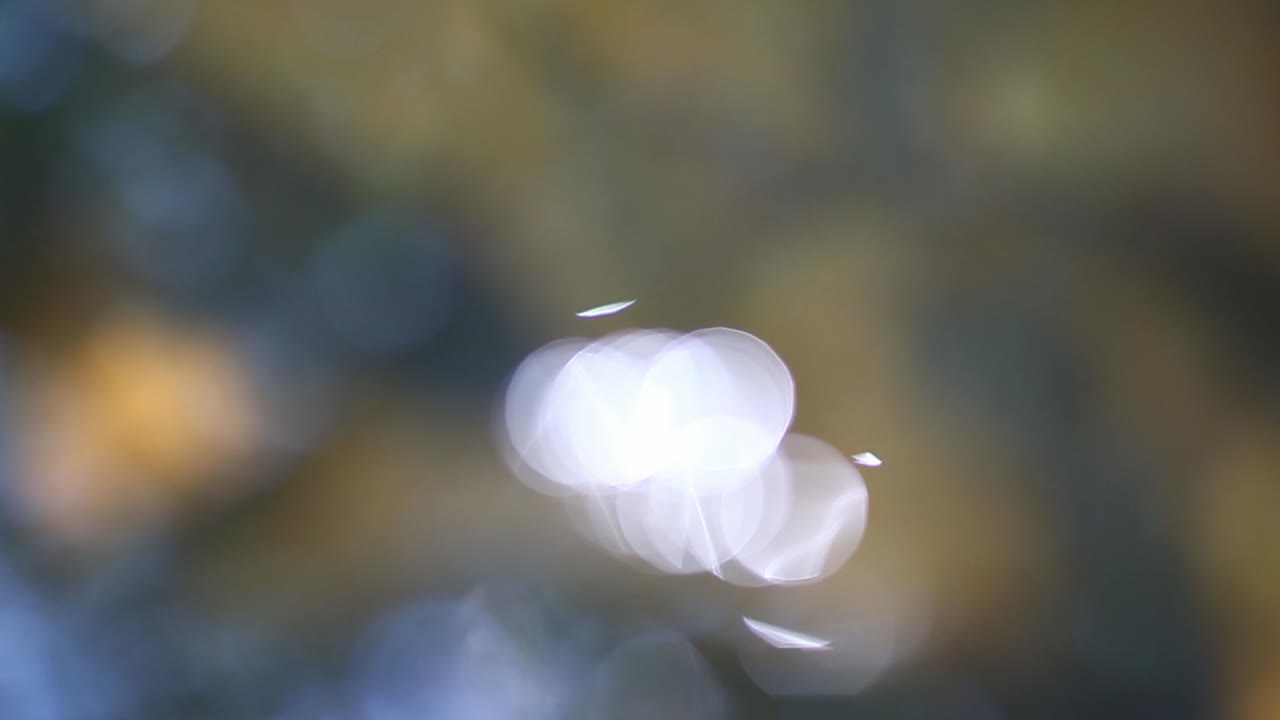 박이는 보케 조명 배경으로 추상적인 흐릿함