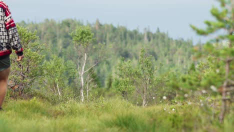 Hombre-Caminando-Con-Mascota-Alaskan-Malamute-En-El-Campo-De-Indre-Fosen-En-Noruega