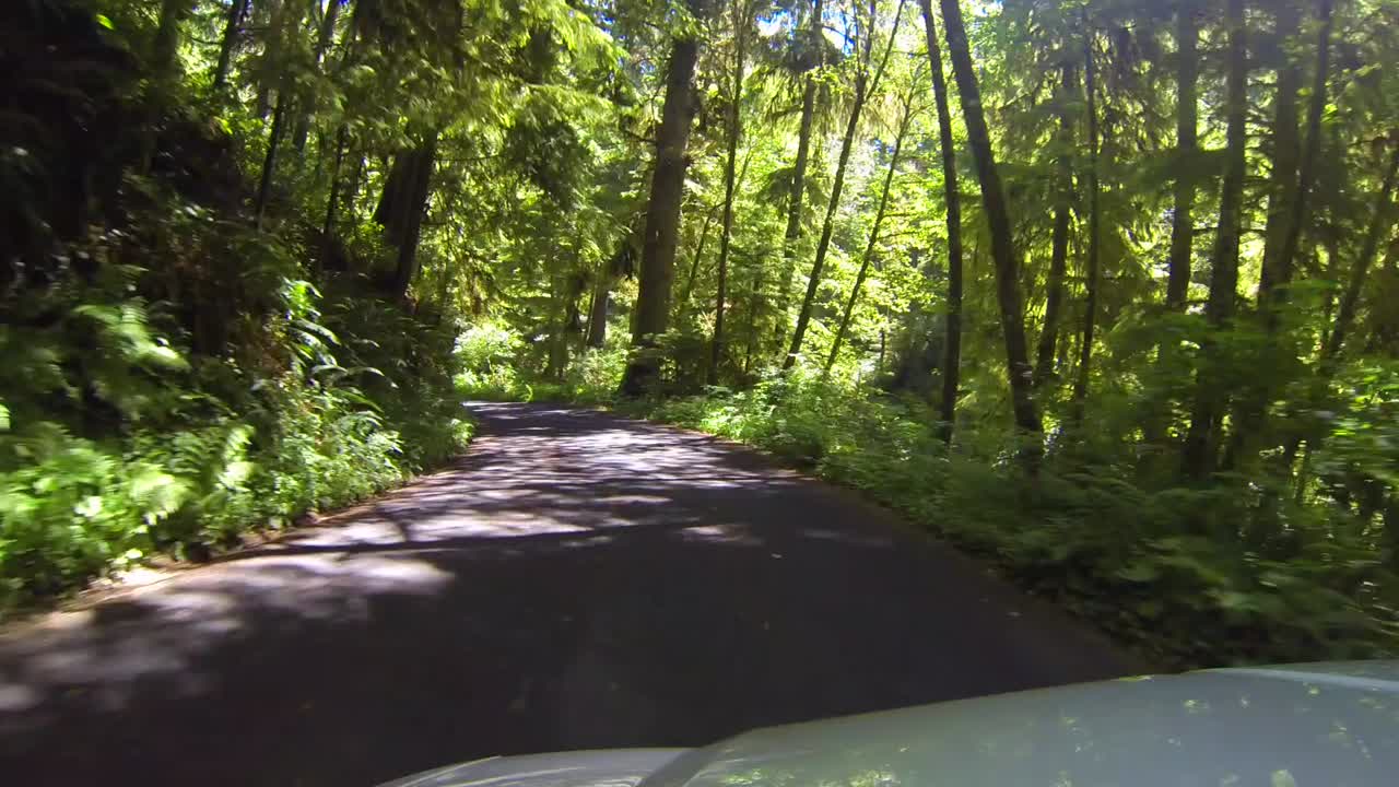 conduciendo por la carretera y a través de los árboles cerca del parque estatal ecola y cannon beach a lo largo de la costa de oregon