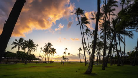 sunrise time-lapse with beautiful palm trees