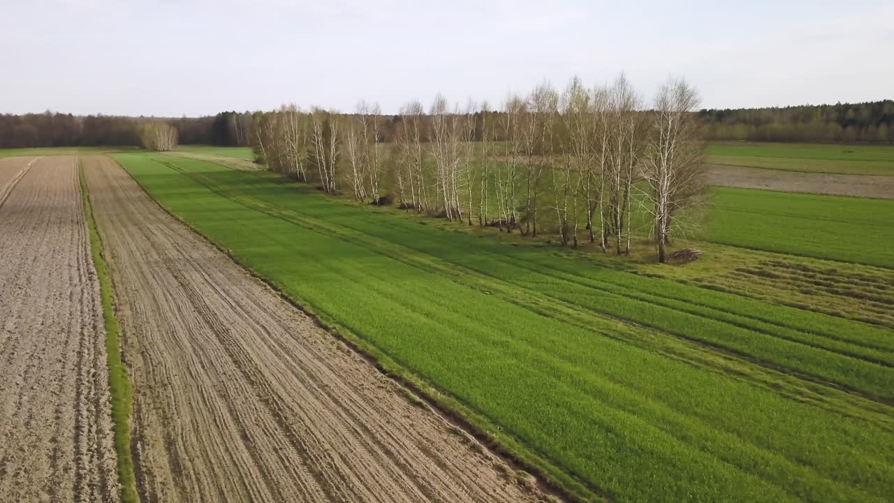 Luftaufnahme von landwirtschaftlich gepflügtem Land mit Roggen, grünem Gras und Getreide.