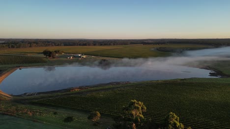 steam fog above the lake near the farmland at sunrise in margaret river, western australia, aerial dynamic track shot
