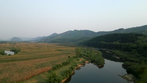 rural vietnamese landscape with river and fields