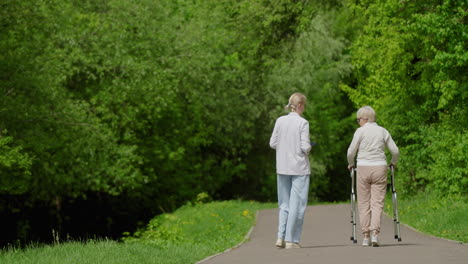 elderly woman and support person taking a walk in the park