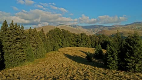 Push-in-aerial-drone-shot-with-a-meadow-with-Tarcului-Mountains-behind