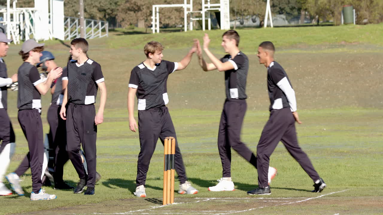 Two teams of multiracial male cricket players playing cricket, celebrating and high fiving on pitch
