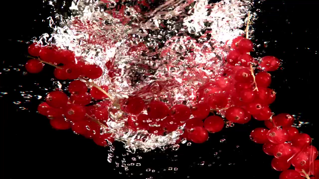 Red Currants Falling and Splashing in Water in Slow Motion