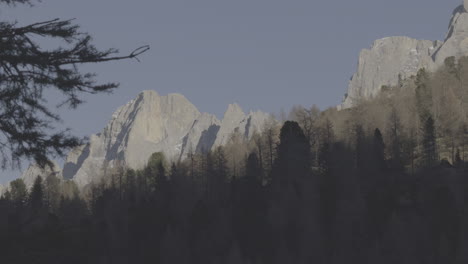 mountain range with forest