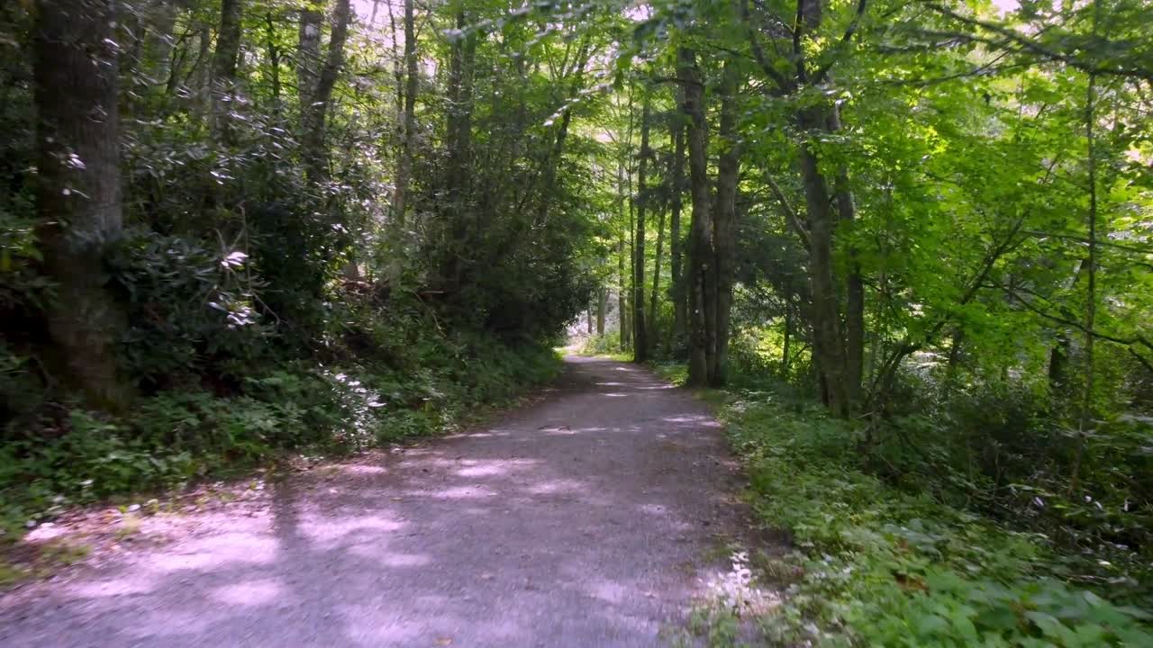 sentiero di ghiaia del lago di trote lungo la strada panoramica del crinale blu