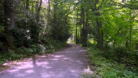 trout lake gravel path by blue ridge parkway