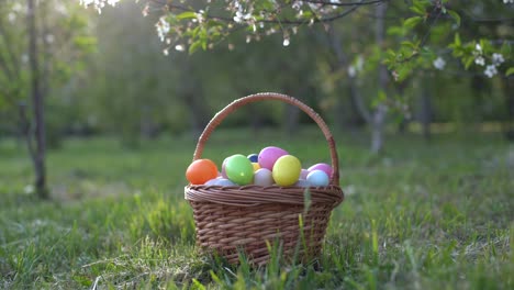 painted-Easter-eggs-in-basket-on-grass.-Traditional-decoration-in-sun-light