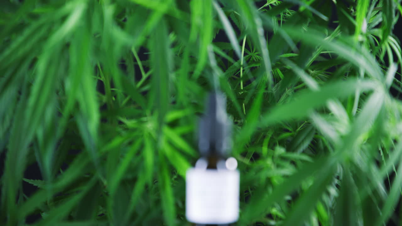 poniendo el alivio del dolor en las manos de la naturaleza