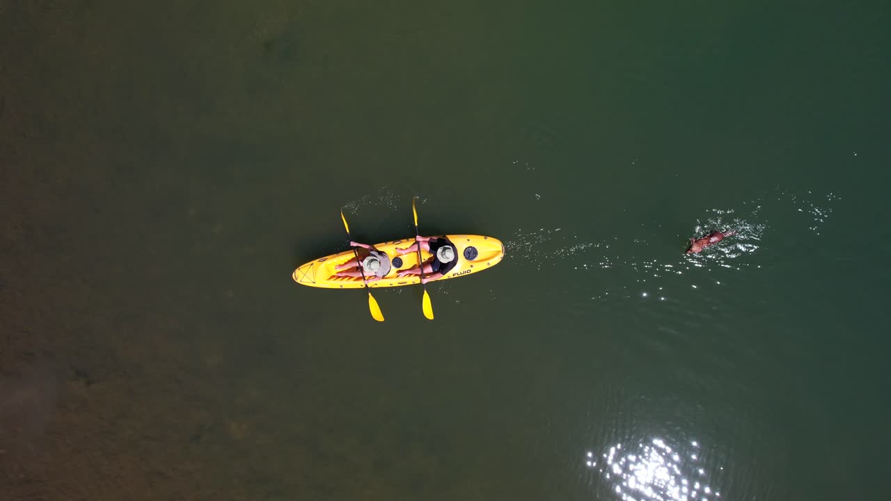 Couple paddling a yellow canoe from right to left across calm turquoise pond with dog swimming behind on bright sunny day