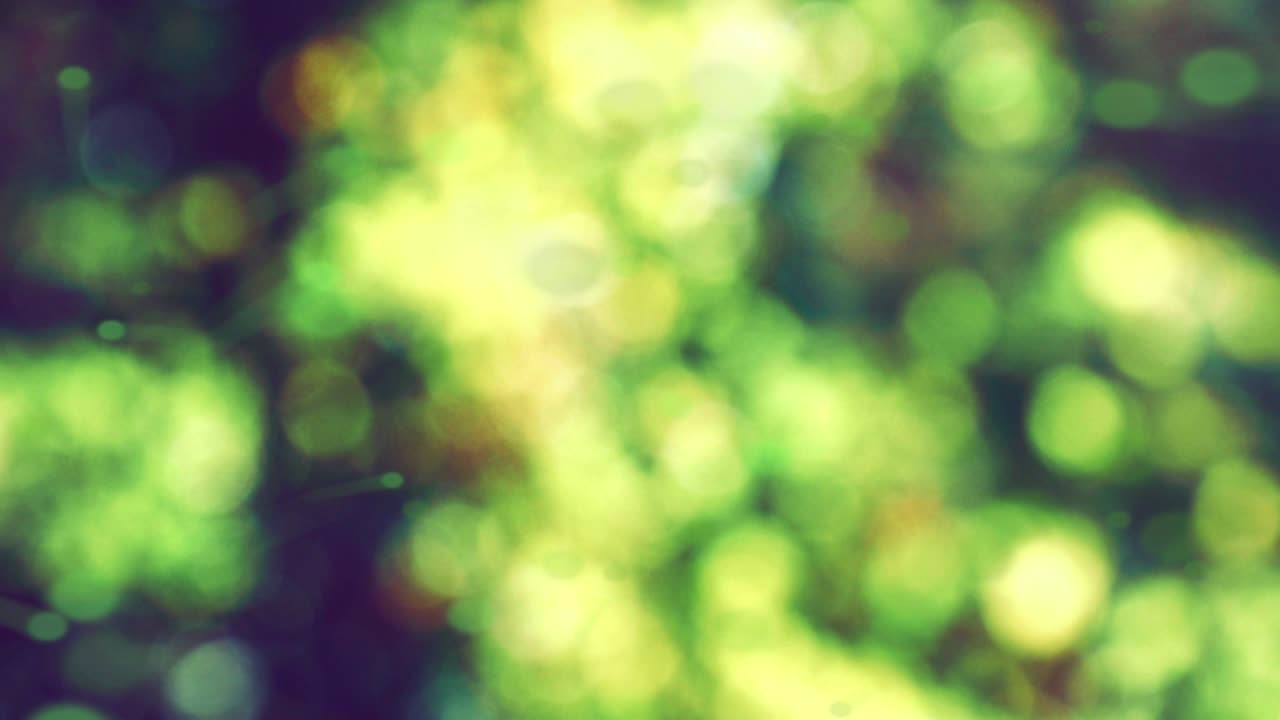 fondo negro con pequeñas luces verdes